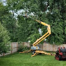 Artificial Turf Installation in Lost Hills, CA