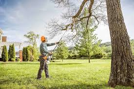 Best Hazardous Tree Removal  in Lost Hills, CA